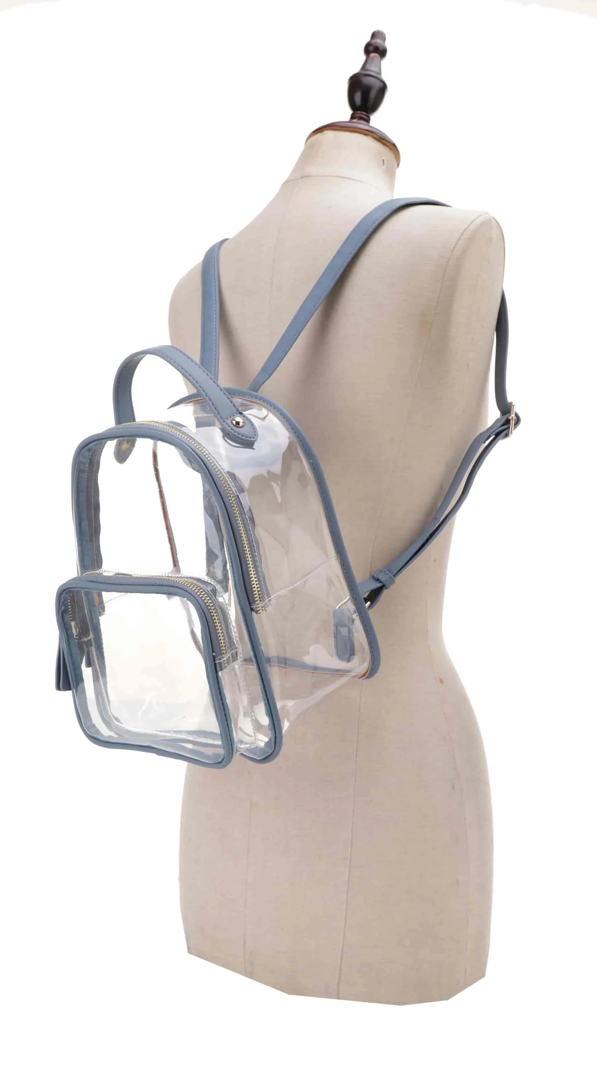 Atlas Color Accent Clear Backpack