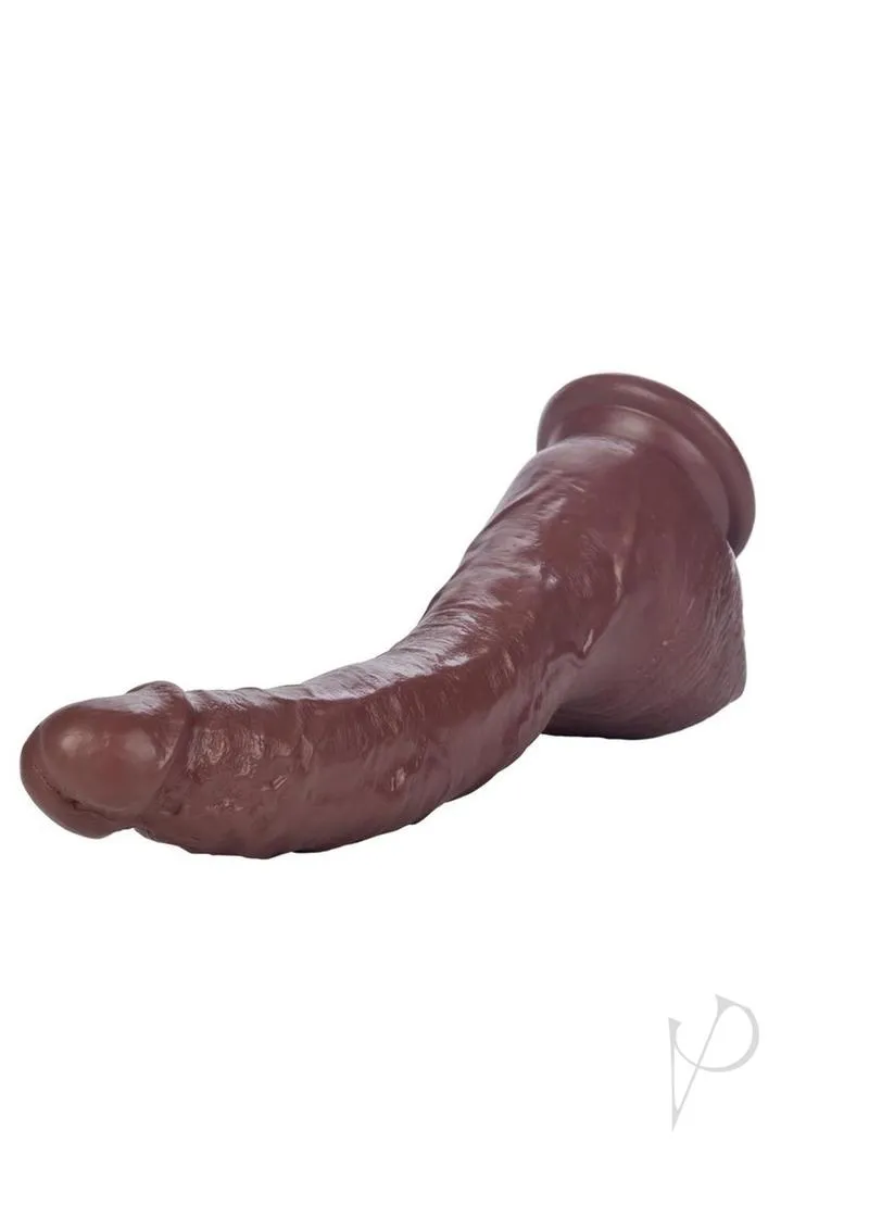Colt Adam Dexter Cock