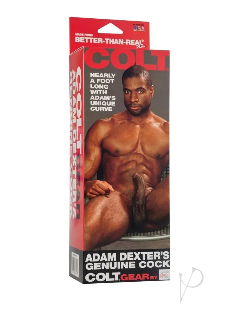 Colt Adam Dexter Cock