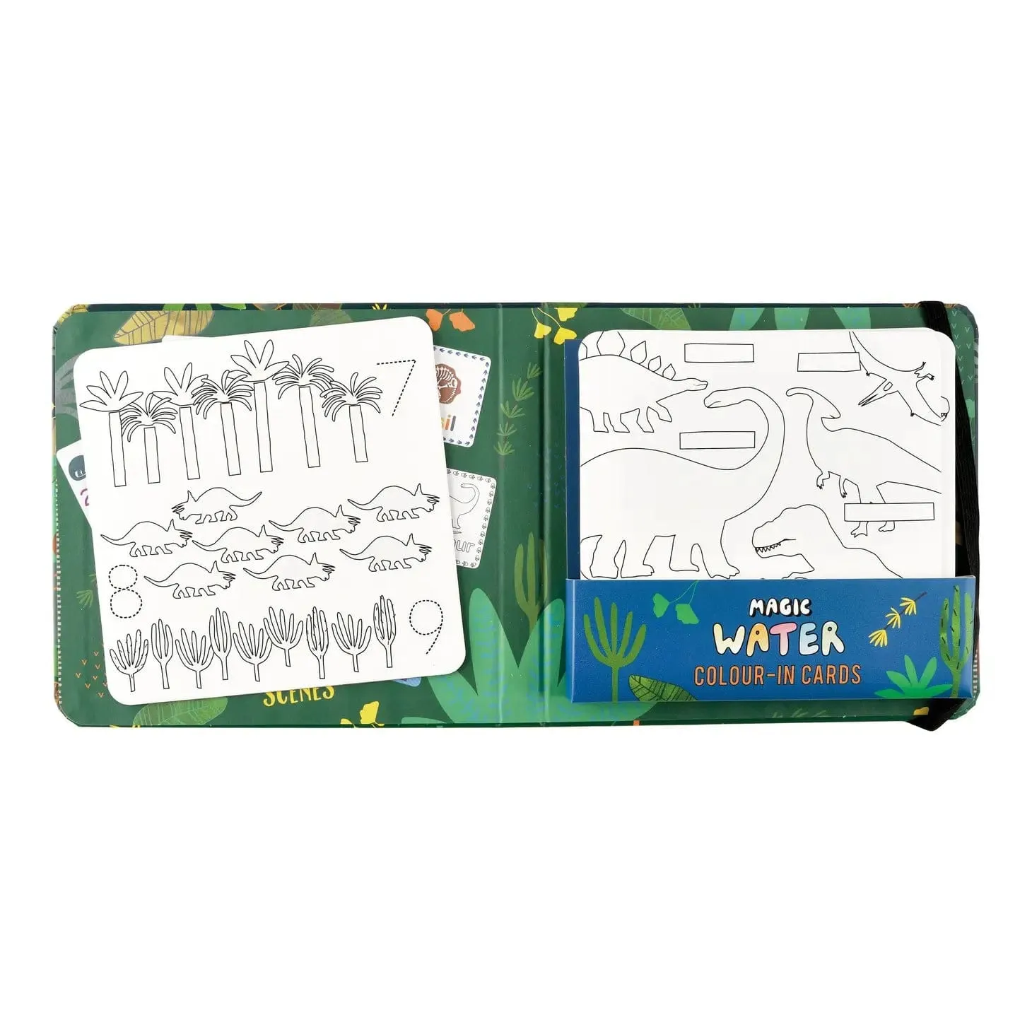 Dinosaur Magic Water Magic Pen & Color-In Cards