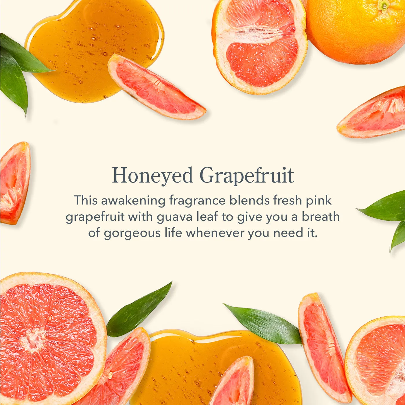 Honeyed Grapefruit Palm-Sized Goat Milk Bar Soap Set of 5