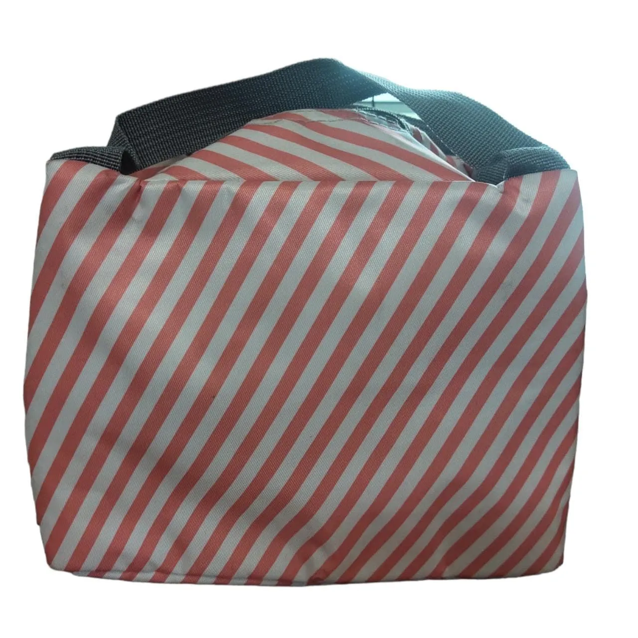 Lunch Bag Print Assorted 13x24x18cm
