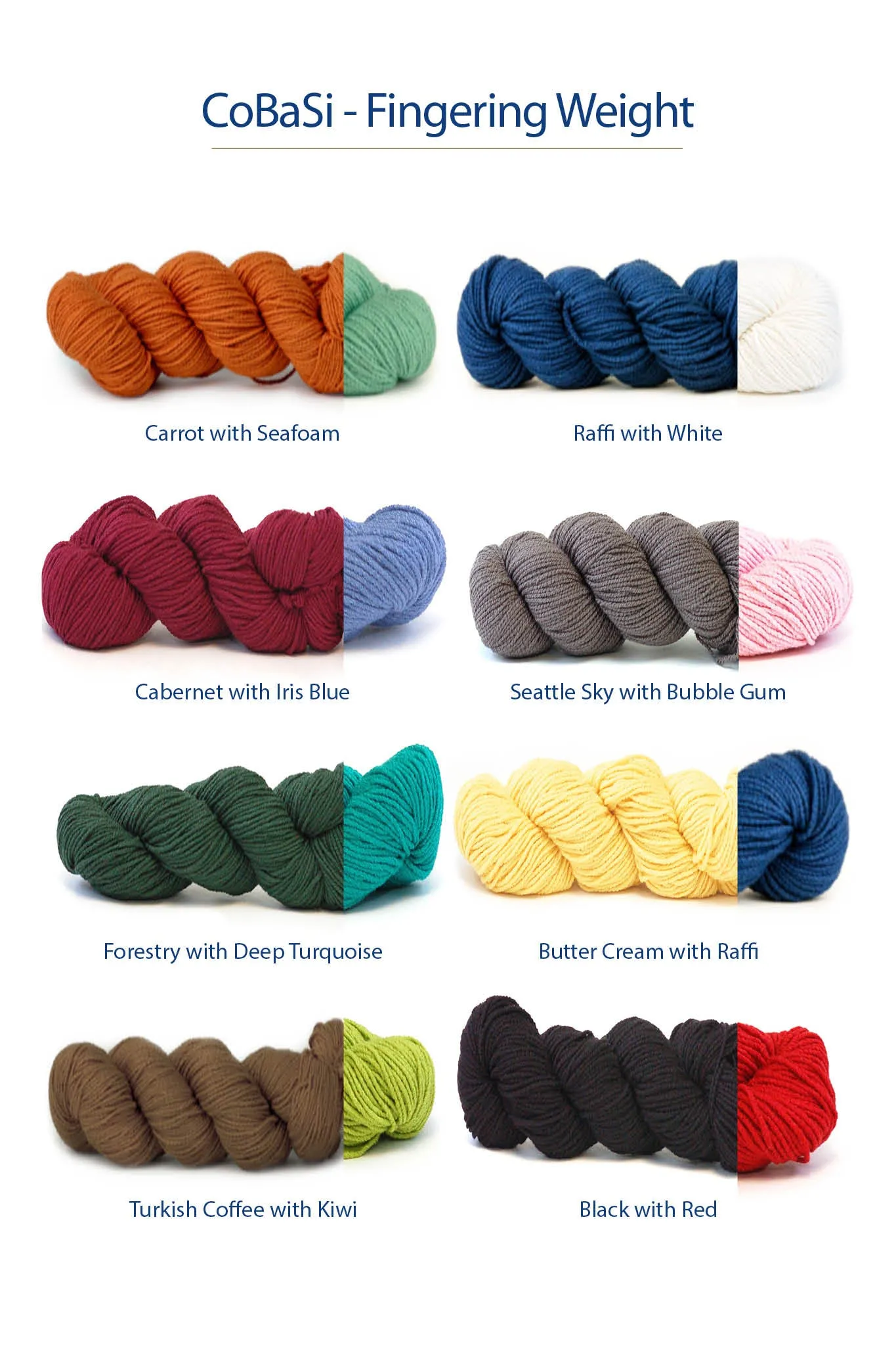 Max Color Point Socks Designer Knitting Kit