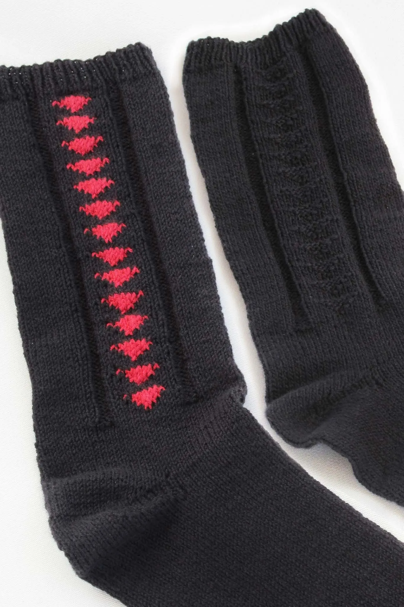 Max Color Point Socks Designer Knitting Kit