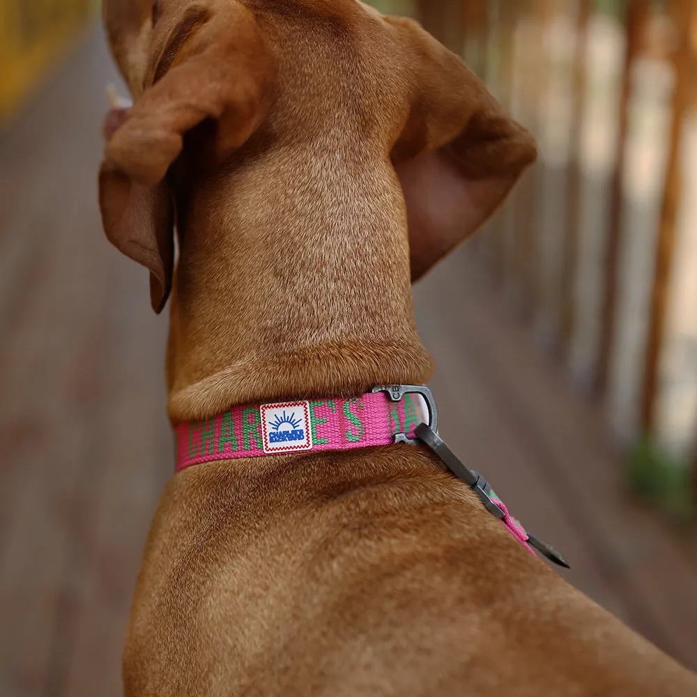 Trip Leash Pink
